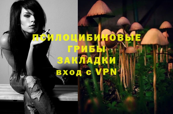 прущие крисы Нязепетровск