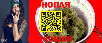 гидра Гусев