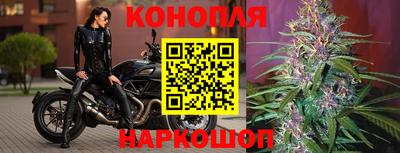 гидра Гусев