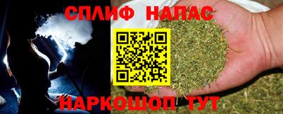 гидра Гусев
