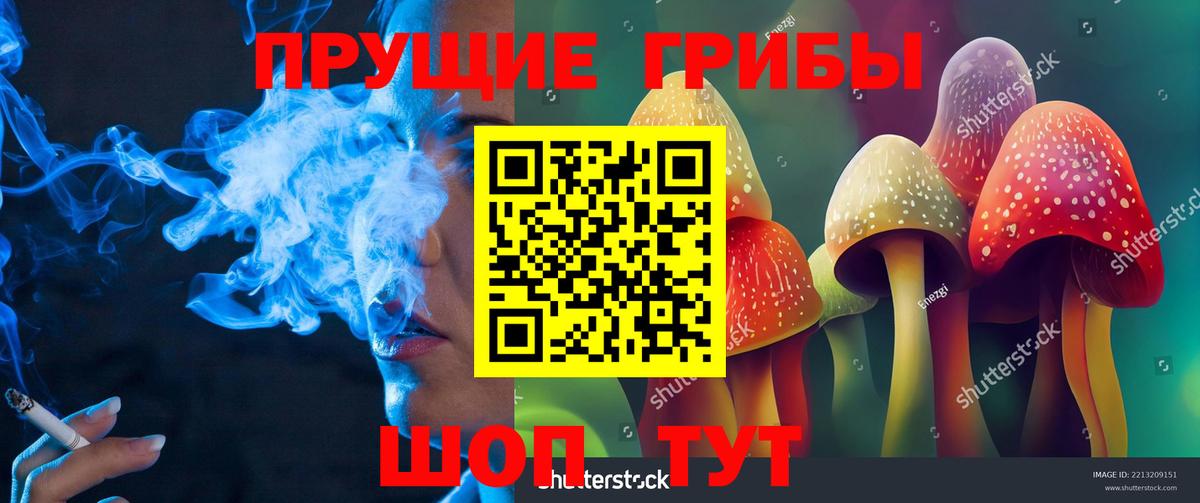Галлюциногенные грибы MAGIC MUSHROOMS  Псилоцибиновые грибы ЛСД  Вход с VPN  Ижевск 