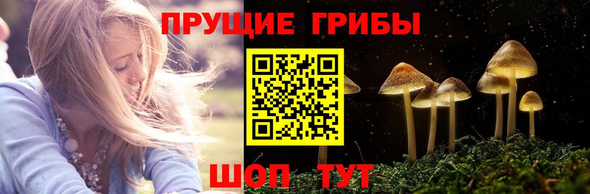 Псилоцибиновые грибы MAGIC MUSHROOMS Ижевск